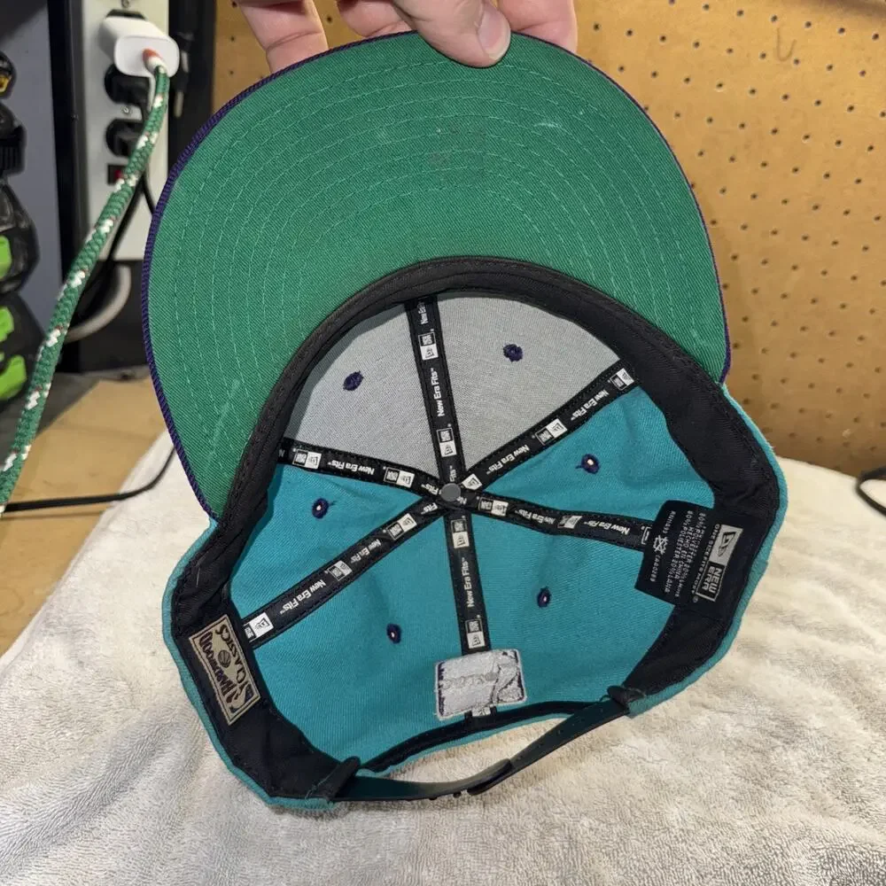 Charlotte Hornets Teal Purple Snapback Hardwood Classics Hat Retro